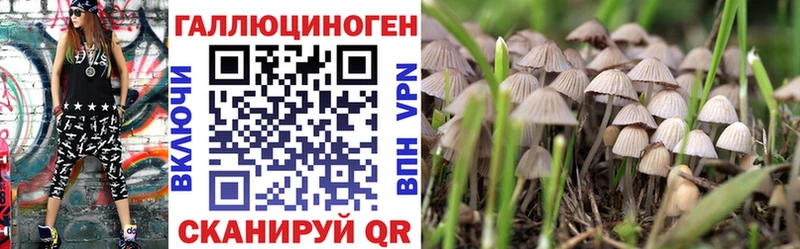 darknet клад  Красноуфимск  Псилоцибиновые грибы Magic Shrooms 